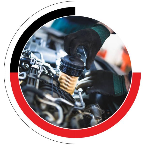 Engine diagnostic and repair Truganina